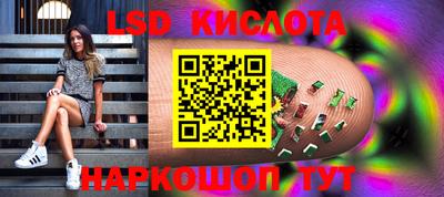 стафф Донецк