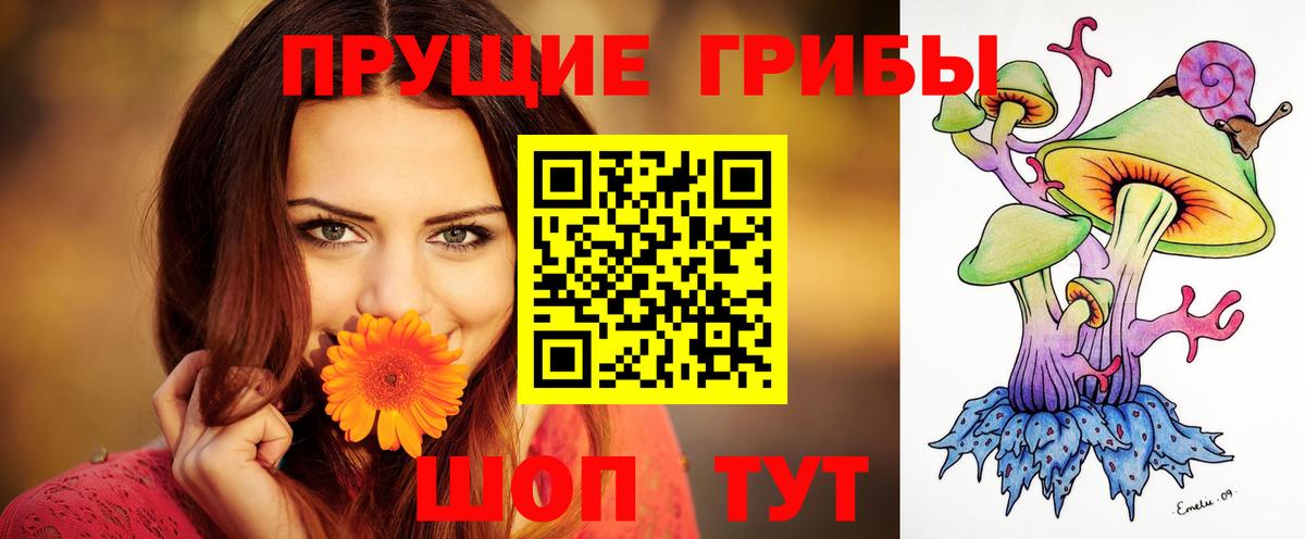 Галлюциногенные грибы ЛСД  Вход с VPN  Ливны 